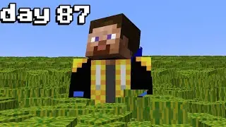 Can you farm 1,000,000 Melons in 100 Minecraft Days?