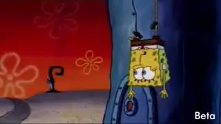 Z A P