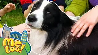 Me Too! - Dog-Sitting | Full Episode | TV Show for Kids