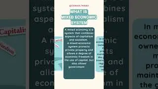 What is a Mixed Economy? Mixed Economy Explained 
