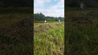 ЧИНАЗЕС