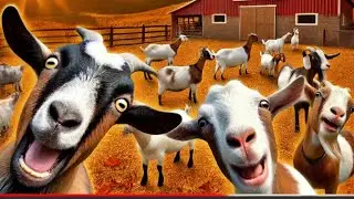 Fall GOAT heat cycles are in full swing & it’s HILARIOUS! 🤣 | Baby goat love ❤️
