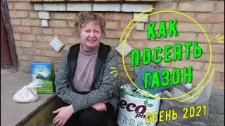 Как посеять газон своими руками первый раз, осень 2021. Как все мешали съёмкам!!!!