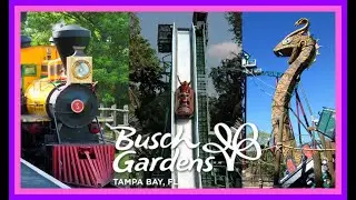 BEST and WORST Rides and Attractions at Busch Gardens Tampa Bay! |Stix Top 6|