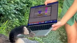 making beats with geese