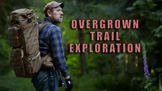 Animal Tracks | Overgrown Trails | Hikes and a Car Camp