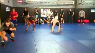 Urijah Faber & Team Alpha Male training Pro MMA