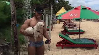 Gli Arigolla in Brasile 2016. Parte 12! Storie di chiappe e surfer oceanici!