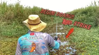 HARVEST STRIKE‼️ BEAUTY Narrow SPOT KALIMANTAN, RIVER LINE | PERSUATING FISH FISHING part#1