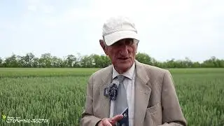 Интервью Гольдварг часть 4