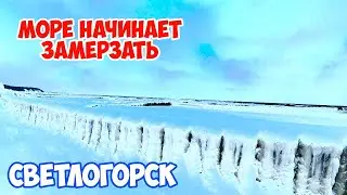 Светлогорск 2021: Море замерзает. Калининградская область