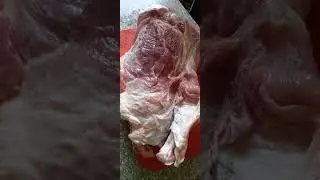 это что - это шея