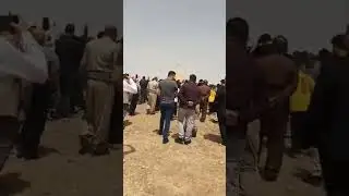 شاريا - ركافا