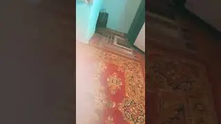 19 мая 2024 г.