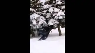 Superman Jump into snow!