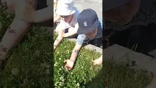 Тату в садике !