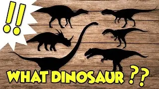 Dinosaur Puzzle game |Carcharodontosaurus,Monolophosaurus,Staurikosaurus|dinosaur name|공룡퍼즐게임놀이|공룡이름