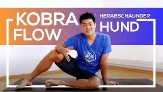 Yoga Vinyasa - Kobra zu herabschauender Hund
