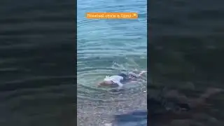 Пляжний сезон в Одесі