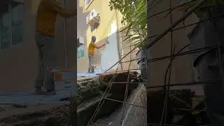 cat dinding halus #shortsvideo #paint #homedecor