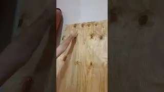 Spotting Plywood In The Wild #woodworking