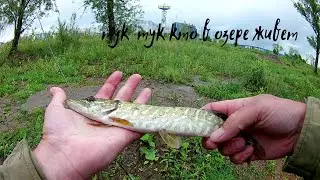 Мормышинг с нимфой    разведка озера.