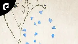 Anna Landström - Unopened Letters