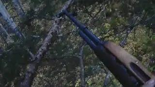 Bear Hunting