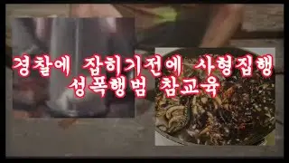 [일반 영상] 주민들에 의해 살해된 성폭행범
