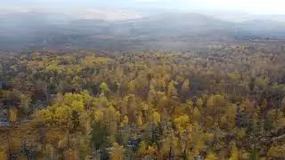 🐝🐝🐝#Осень  на #пасеке. Смотреть в HD. #Прогулка по лесу.