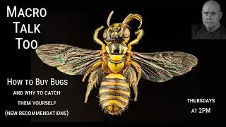 Bug buying redux -  Macro Talk Too #86 - Mar 14, 2024