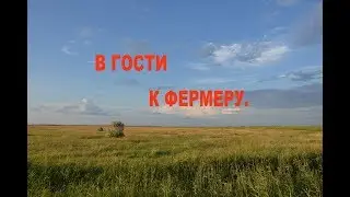 В гости к фермеру
