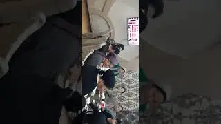 сухроб кафе синфдошлар учрашуви ❤❤❤❤❤
