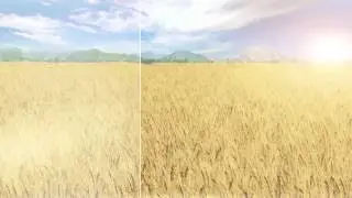 Wheat Field (Breakdown)