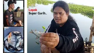 EPS 2 - SUPER MANTAP!!! Goreng Ikan Dadakan Diatas Rakit Cirata