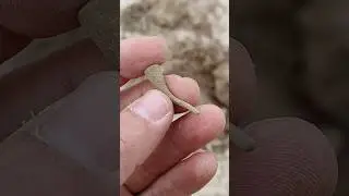 Část antického náramku nalezená detektorem kovů #metaldetecting #metaldetector #archaeology #bronze