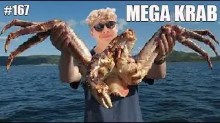 AANGEVALLEN door MEGA KRAB in KROATIË (VLOG #167)