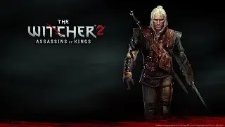 Дела в Лок - Муинне \../ The Witcher 2    part 11