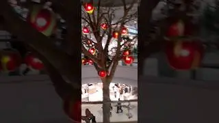 сладкой жизни всем!
