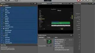 NEW MAINSTAGE 3 VOICES || #kontakt7_Tones #macbookpro  #Swam #newTones #mainstge 🎶💫💫💫