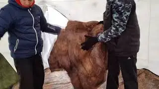Палатка Куб Гексагон, печь Камин 'Берег'