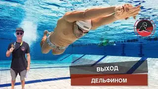 How to perform and develop a dolphin exit in swimming.