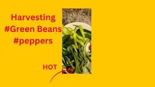 So Many Beans & Peppers