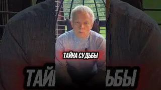 Как мозг связан с судьбой?