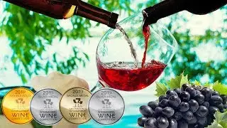 PRO ВИНО В РОССИИ. ПОЧЁТНОЕ ПЕРВОЕ МЕСТО #ЧерноморскийФорумВиноделья #Wine #PROWine #Вино