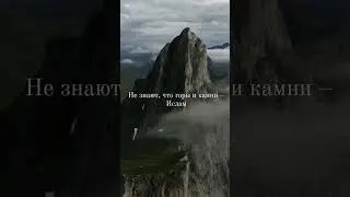 Думают что...