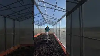 Наши СТРАУСЯТА в деревне🐥Как вам для них имена Вупсень и пупсень ?