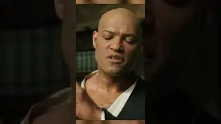 The matrix 
