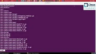 Low-Level Debian Package Management with dpkg