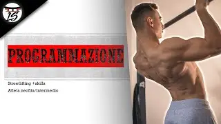 Programmazione Calisthenics: caso studio skills +basi neofita